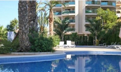 Apartamento / piso - Obra nueva - Calpe - La Calalga