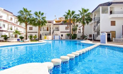 Apartamento / piso -  - Punta Prima - Cala Dorada