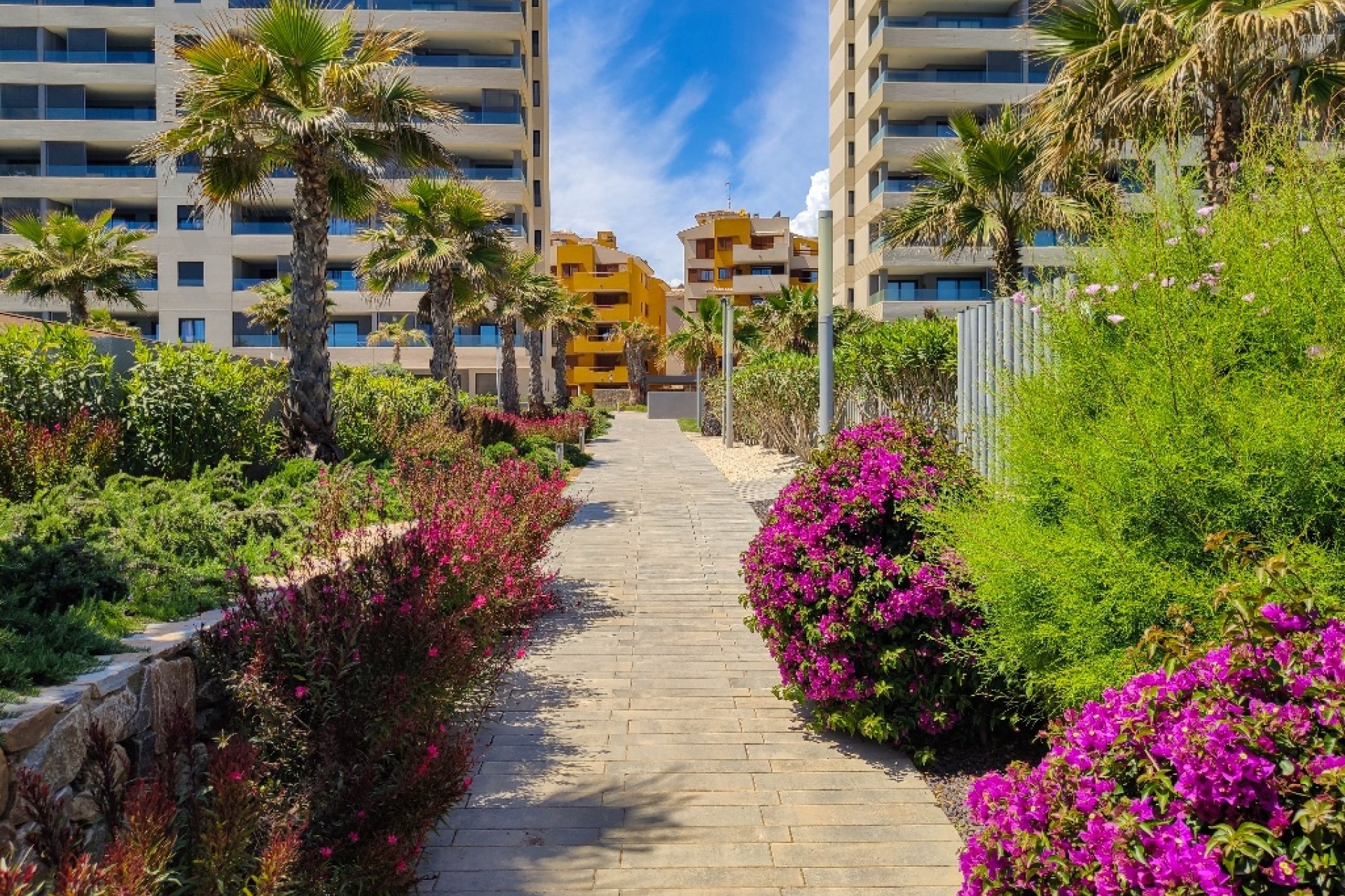  - Apartamento / piso - Punta Prima - Panorama Mar