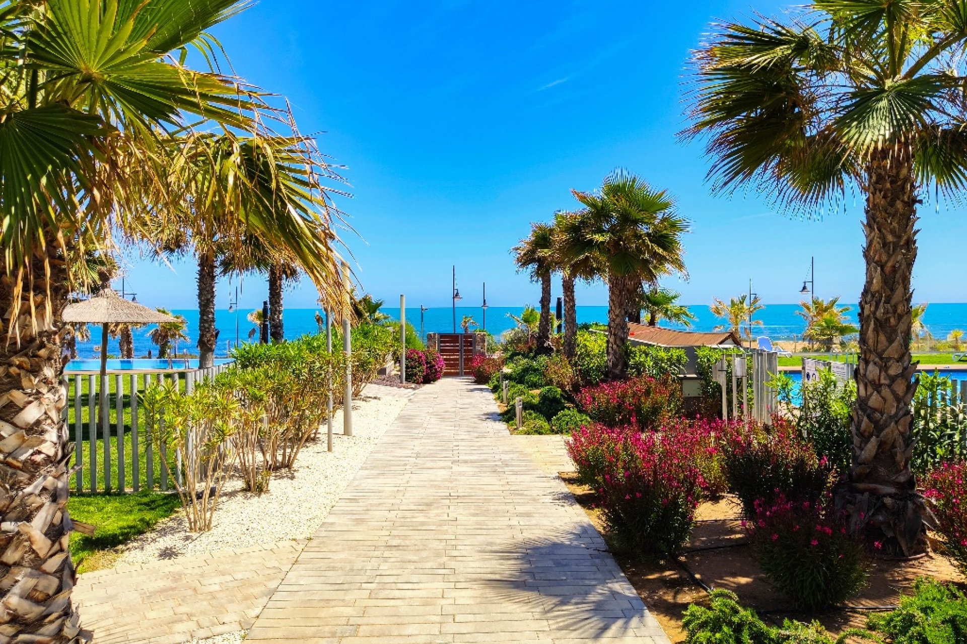  - Apartamento / piso - Punta Prima - Panorama Mar