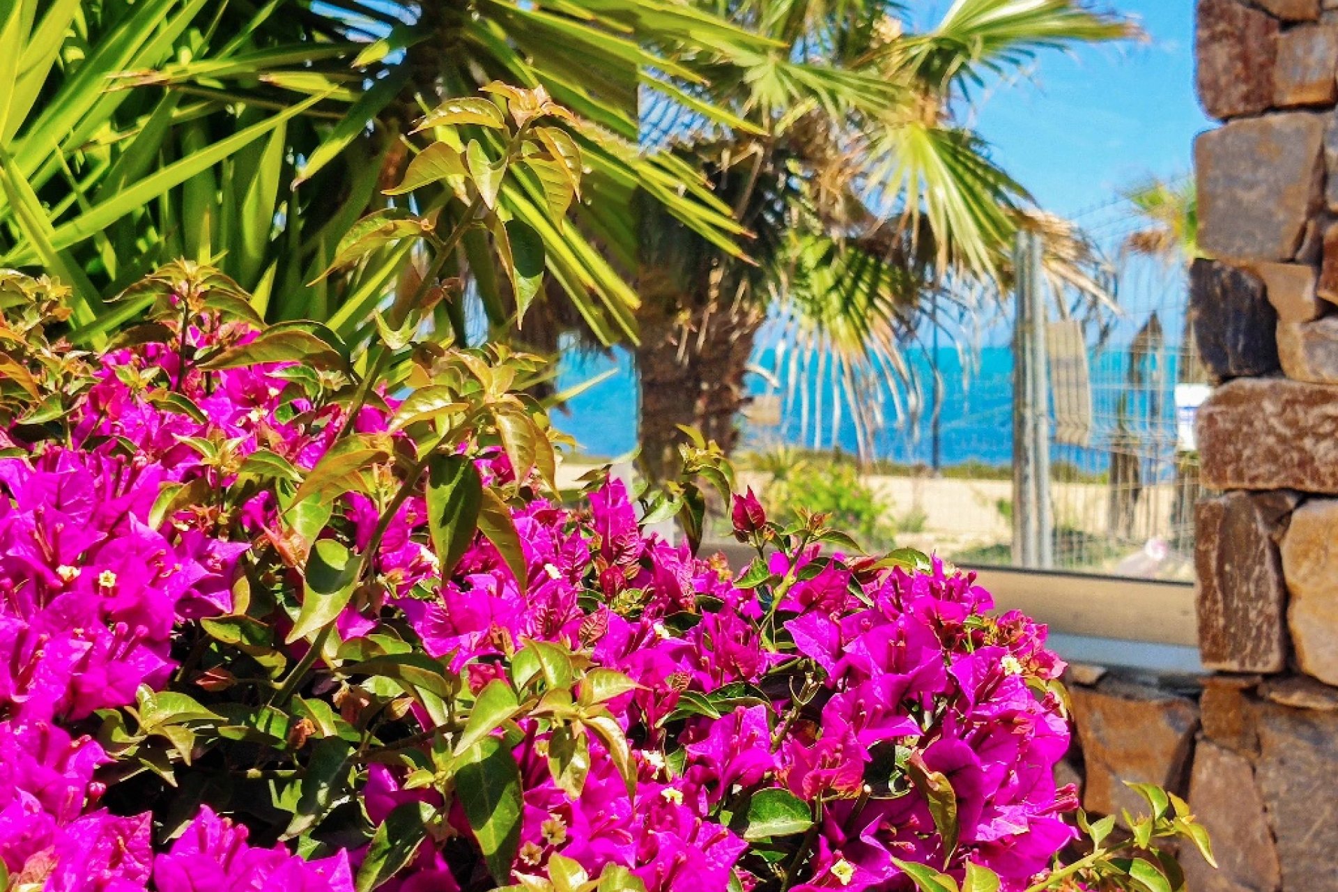  - Apartamento / piso - Punta Prima - Panorama Mar