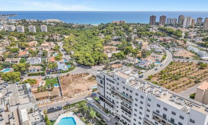 Apartamento / piso - Reventa - Campoamor - Campoamor