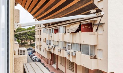 Apartamento / piso - Reventa - Guardamar del Segura - Centro