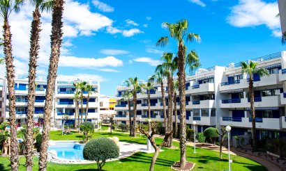 Apartamento / piso - Reventa - Orihuela Costa - C-59098