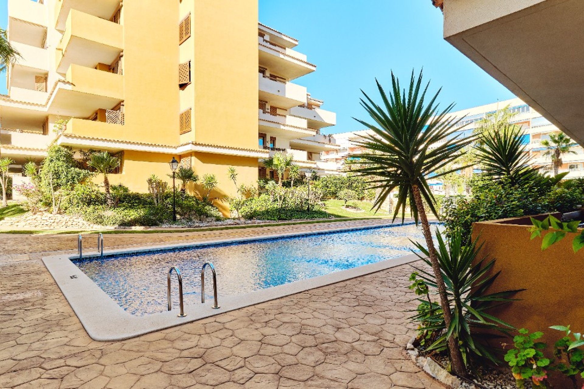  - Apartment / flat - Punta Prima - La Entrada