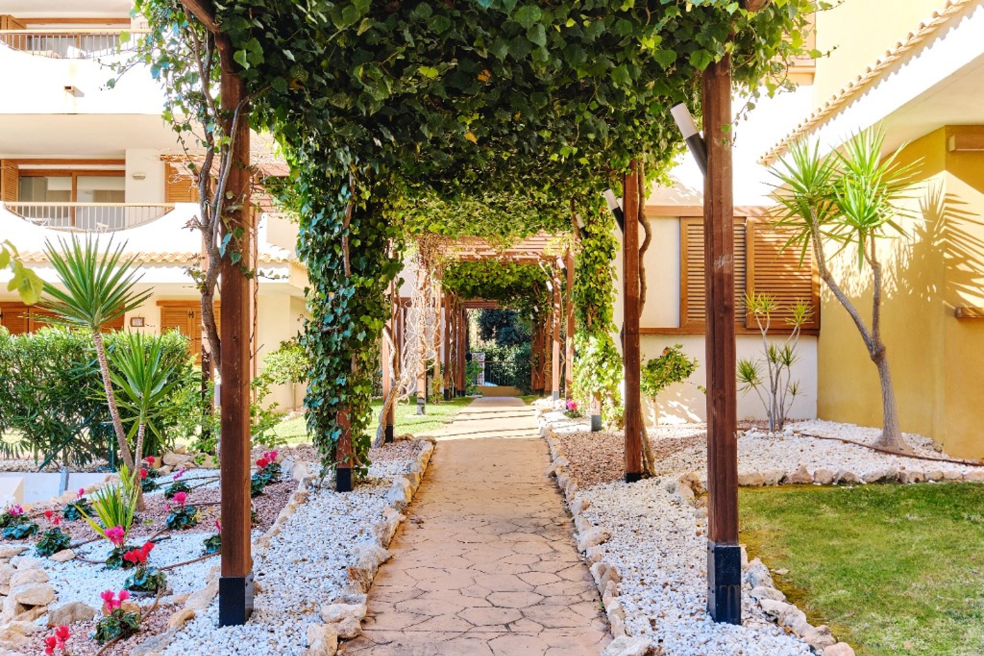  - Apartment / flat - Punta Prima - La Entrada