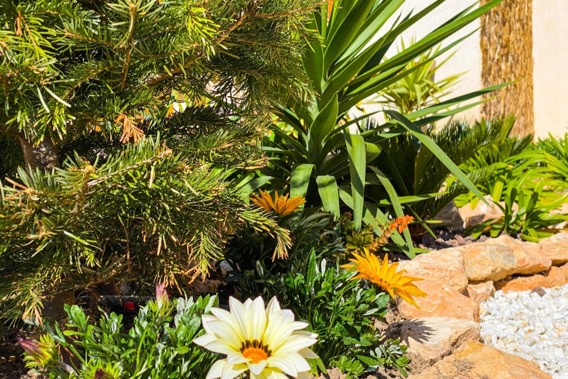  - Apartment / flat - Punta Prima - La Recoleta