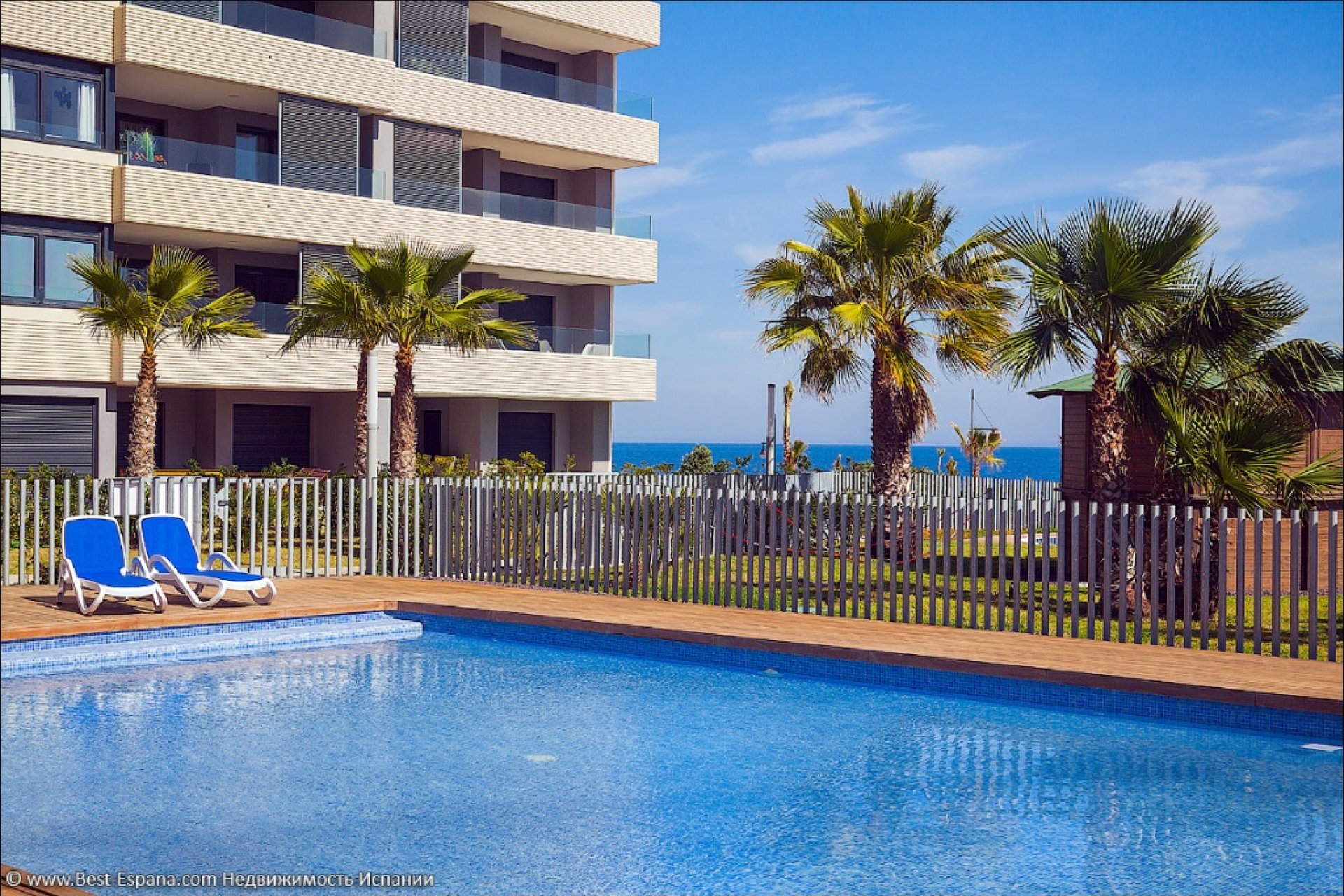  - Apartment / flat - Punta Prima - Panorama Mar