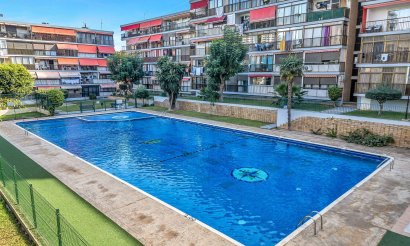 Apartment / flat - Resale - Benidorm - Benidorm