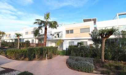 Apartment / flat - Resale - Los Montesinos - Entre Naranjos / Vistabella Golf