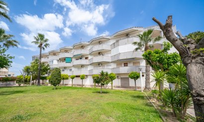 Apartment / flat - Resale - Orihuela Costa - Cabo Roig