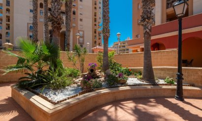 Apartment / flat - Resale - Torrevieja - Playa de los Locos