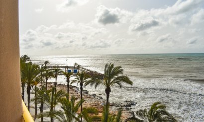 Apartment / flat - Resale - Torrevieja - Torrevieja Centro