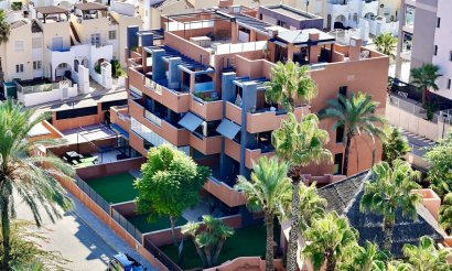 Apartment / flat - Resale - Villamartin - Villamartin