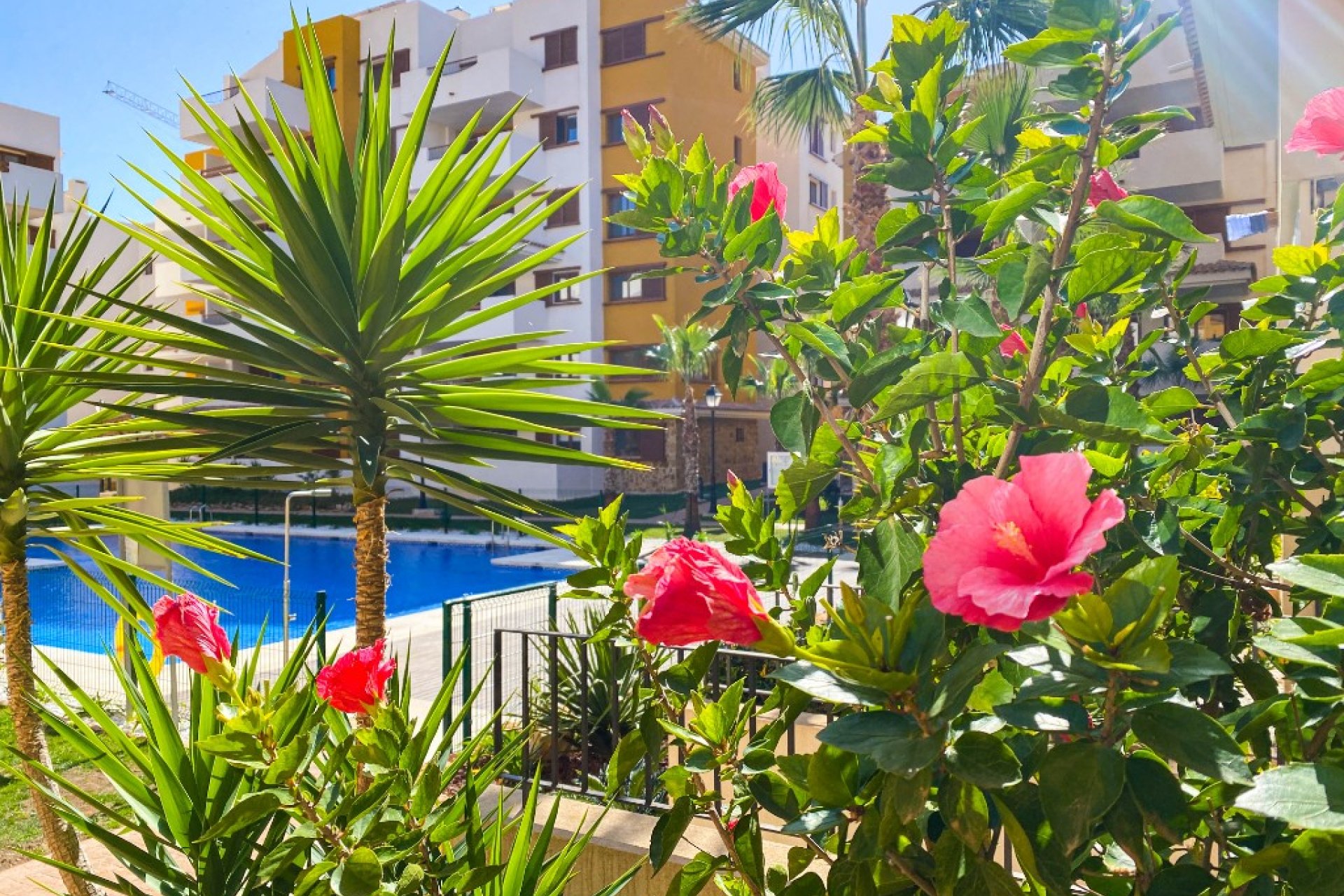  - Appartement - Punta Prima - La Recoleta