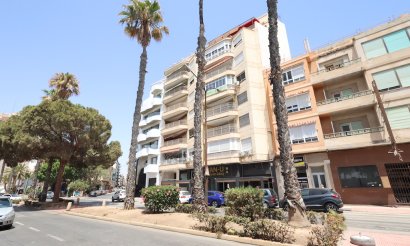Appartement - Revente - Torrevieja - C-20524