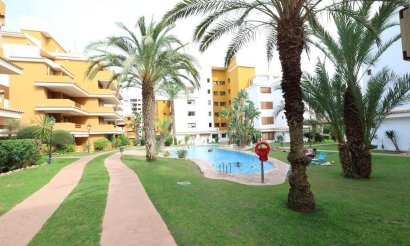 Ático - Reventa - Torrevieja - Punta prima