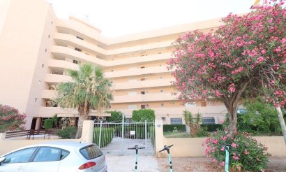Commercial - Revente - Orihuela Costa - La Zenia