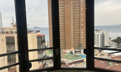 Estudio - Reventa - Benidorm - M-36982