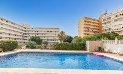 Estudio - Reventa - Torrevieja - Torreblanca