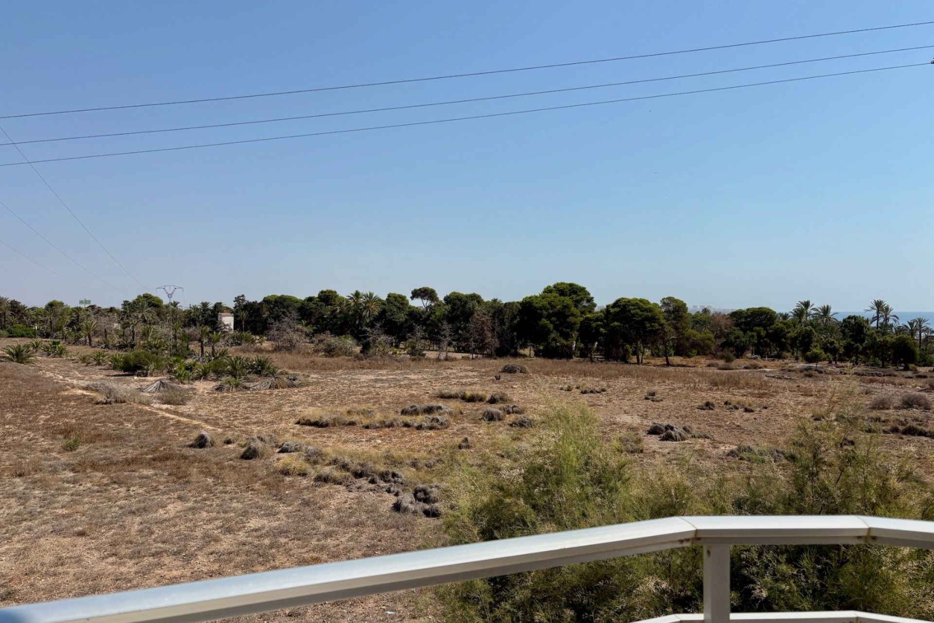 Long Term Rental - Apartment / flat - Torrevieja - Punta Prima