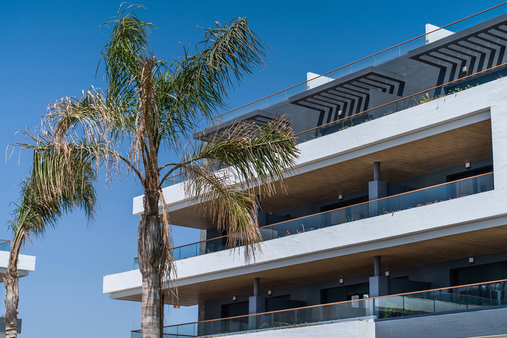 New Build - Apartment / flat - ﻿Torrevieja (Alicante) - Spain