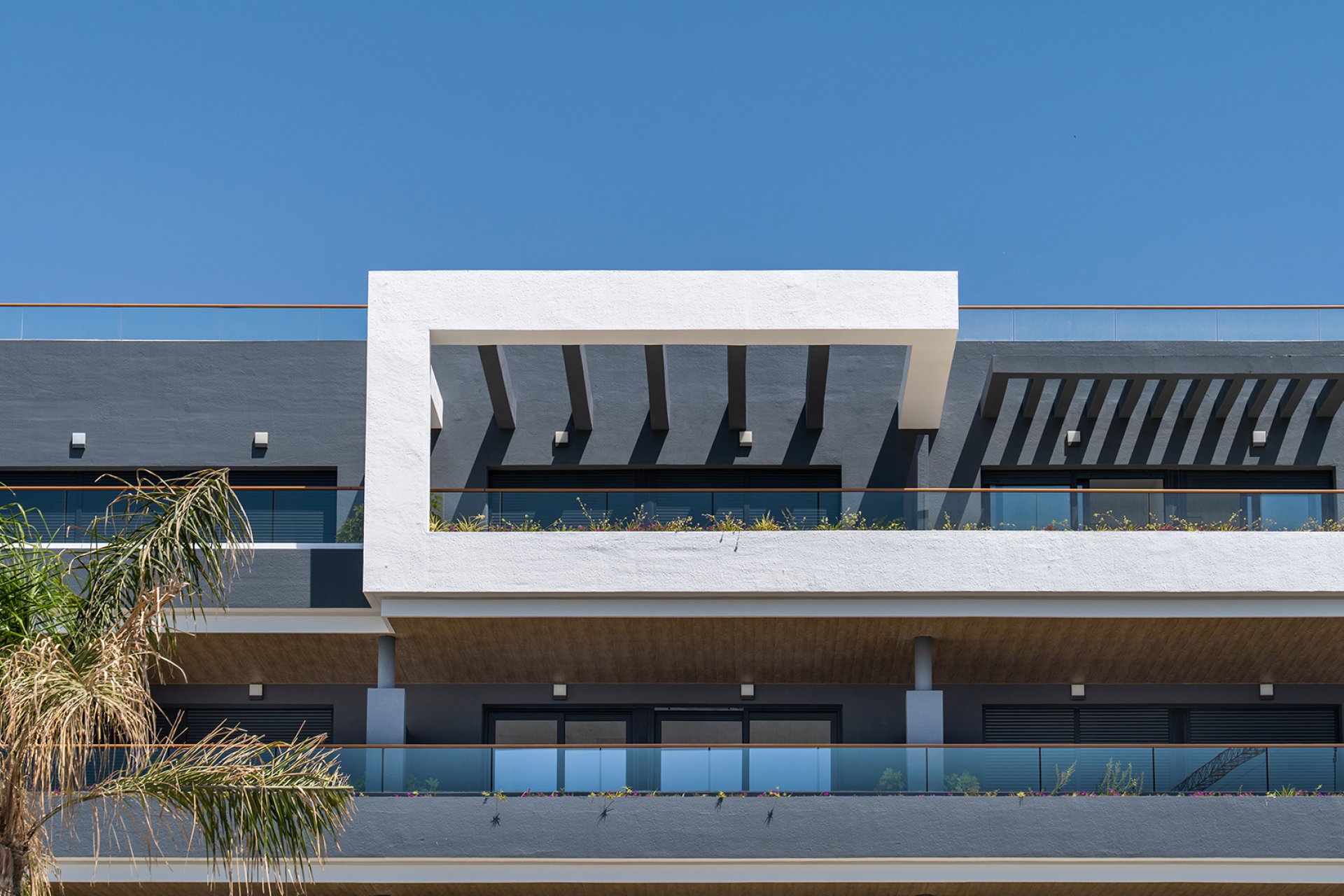 New Build - Apartment / flat - ﻿Torrevieja (Alicante) - Spain