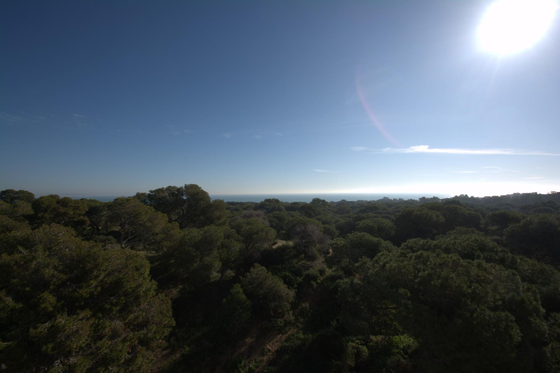 New Build - Penthouse - Guardamar del Segura - Pueblo