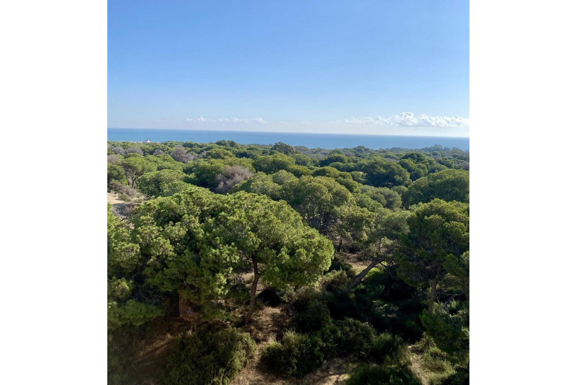 Nouvelle construction - Appartement - Guardamar del Segura - Centro