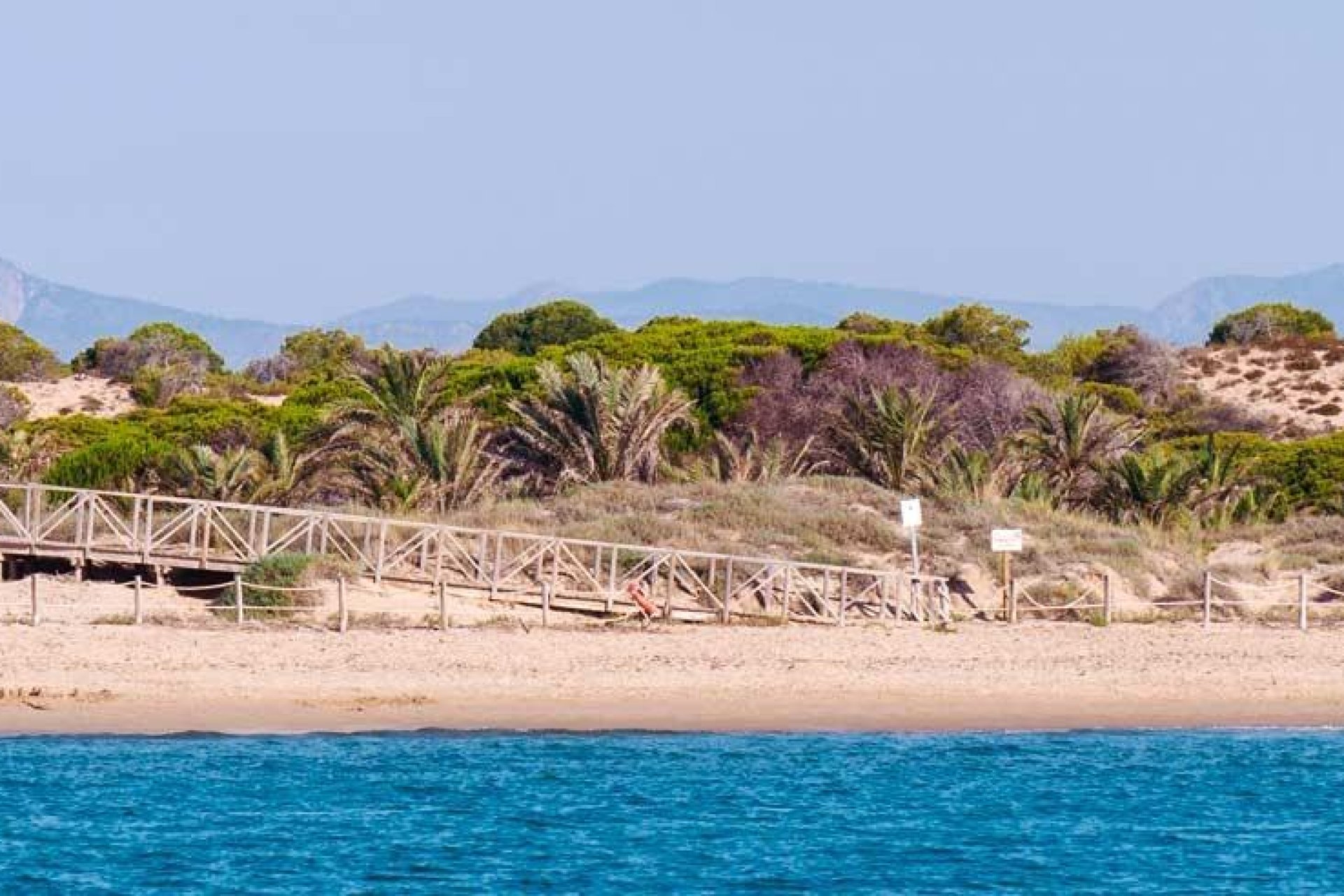 Nouvelle construction - Attique - Guardamar del Segura - Pueblo