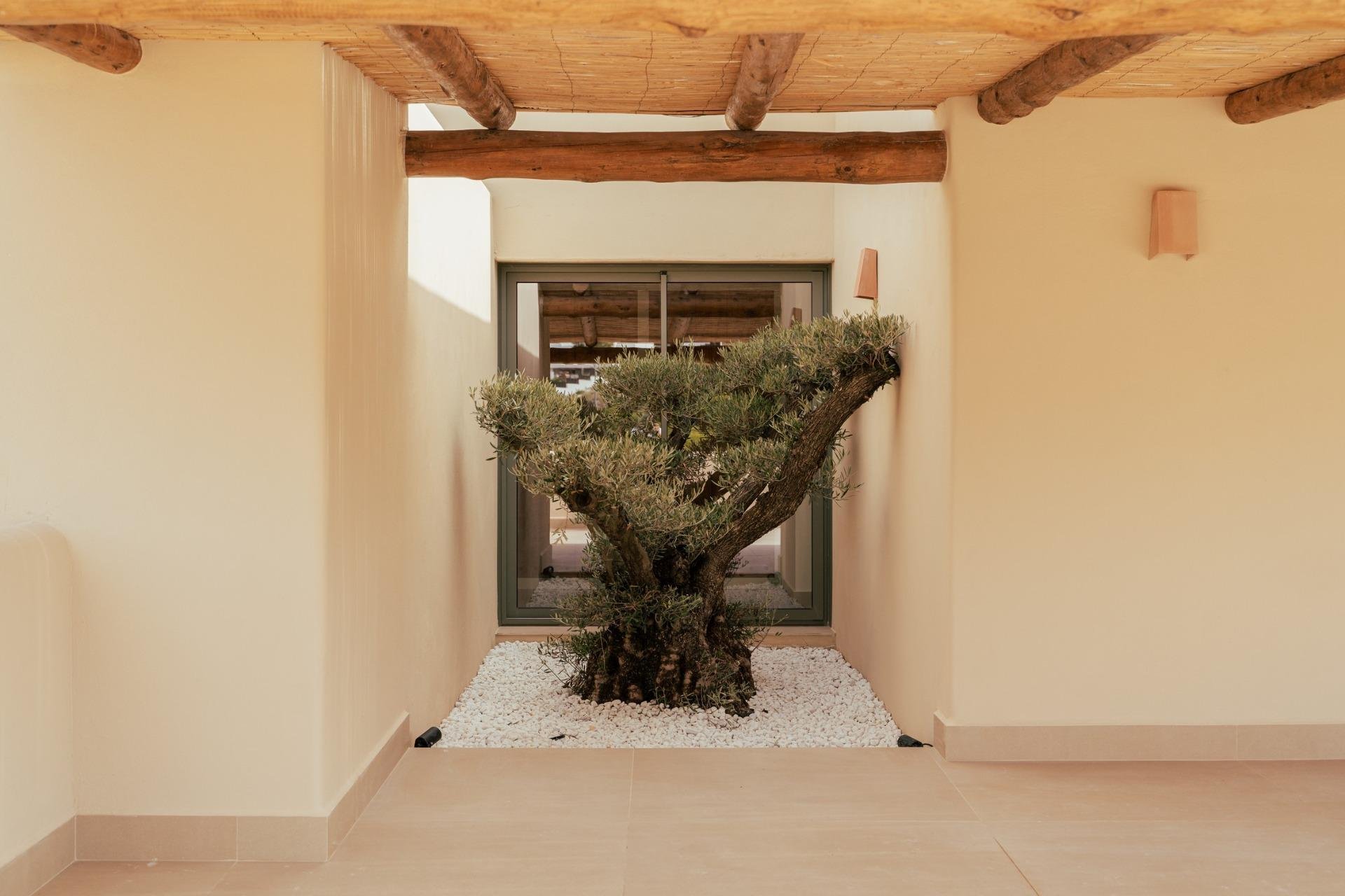 Nouvelle construction - Villa - Jávea - Valle del Sol