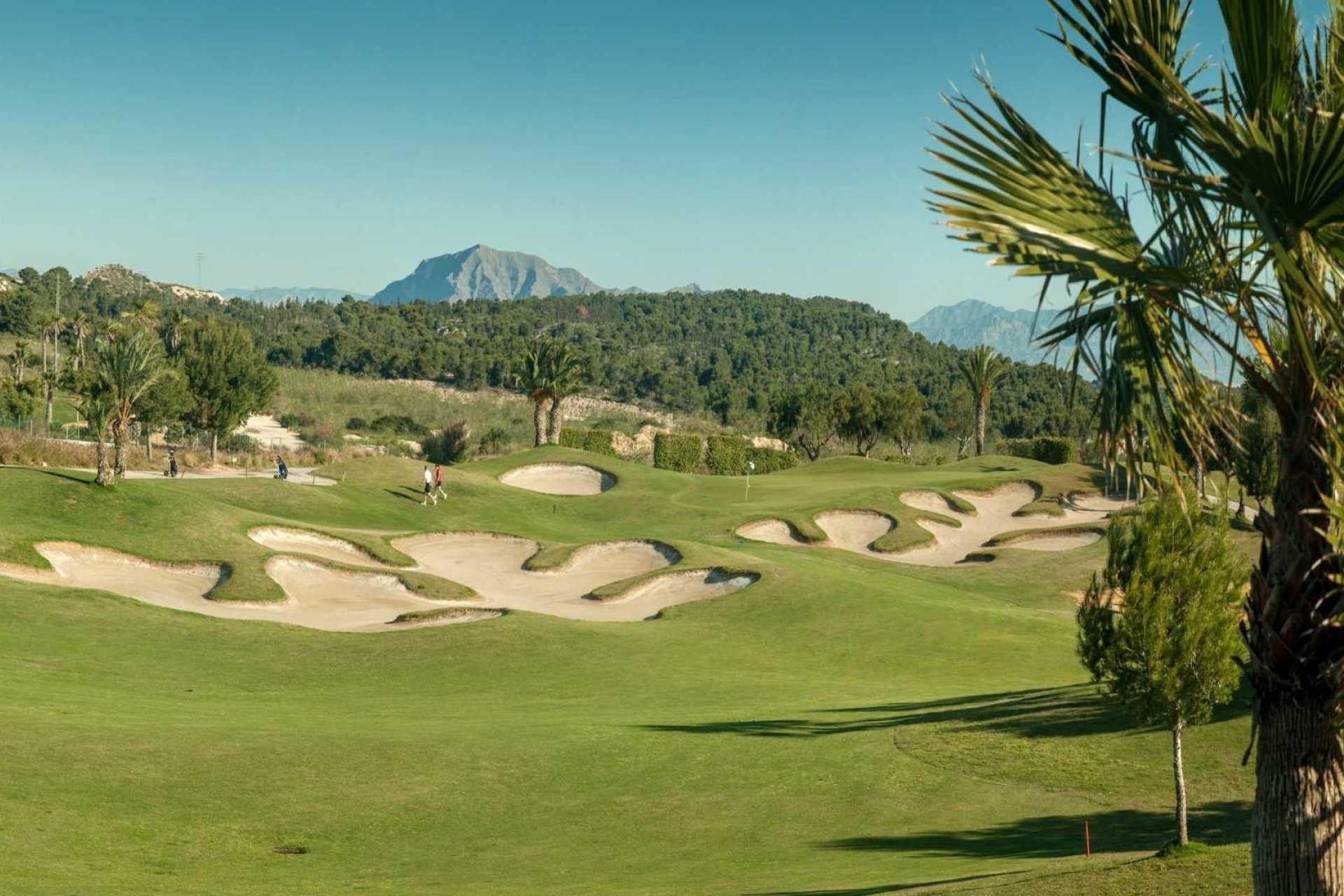 Nouvelle construction - Villa - Orihuela Costa - Vistabella Golf