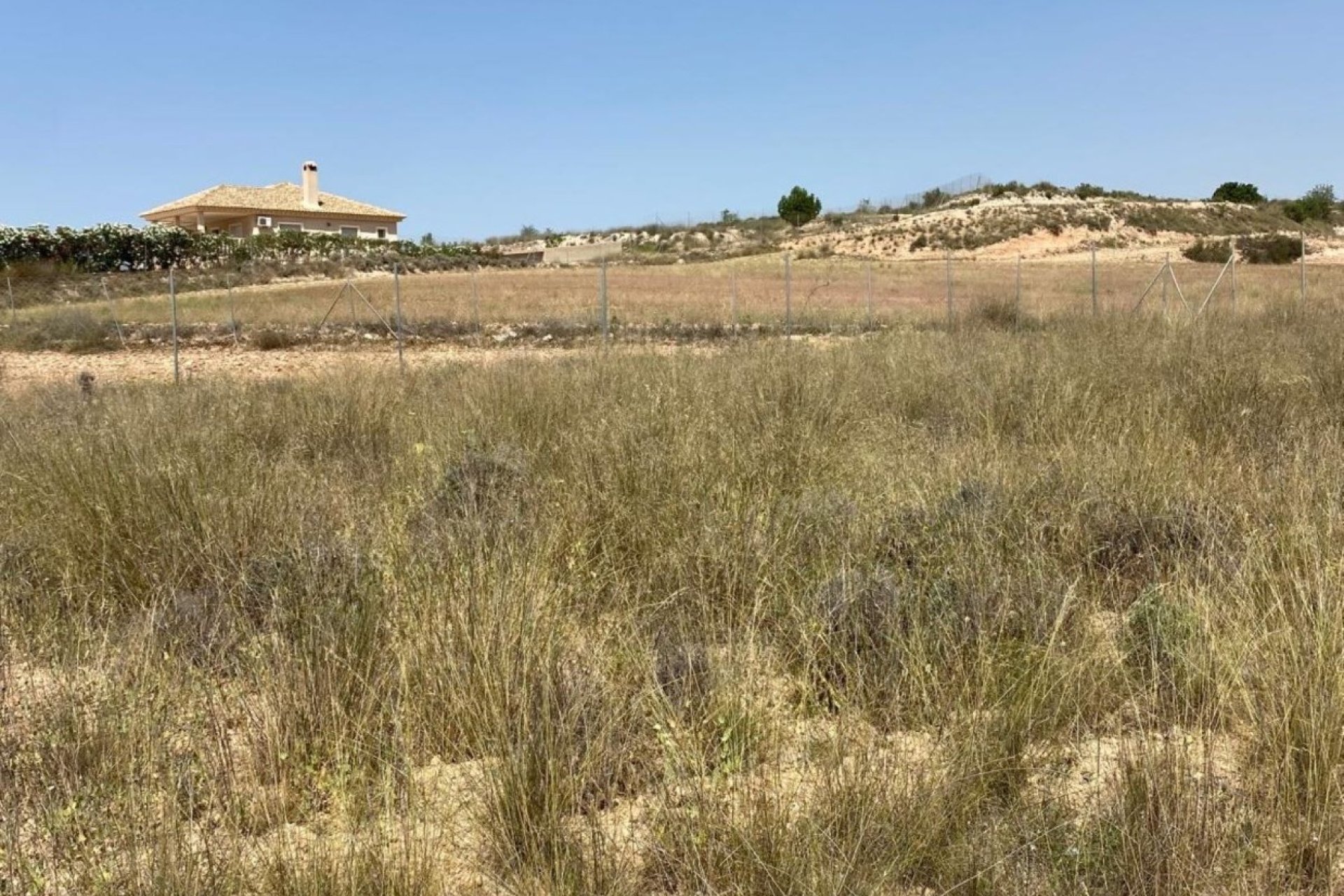 Nouvelle construction - Villa - Pinoso - Camino Del Prado