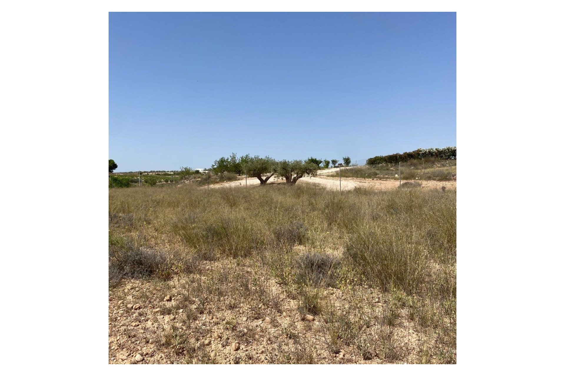 Nouvelle construction - Villa - Pinoso - Camino Del Prado
