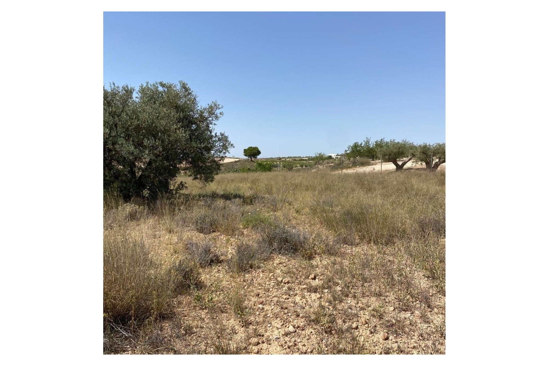 Nouvelle construction - Villa - Pinoso - Camino Del Prado