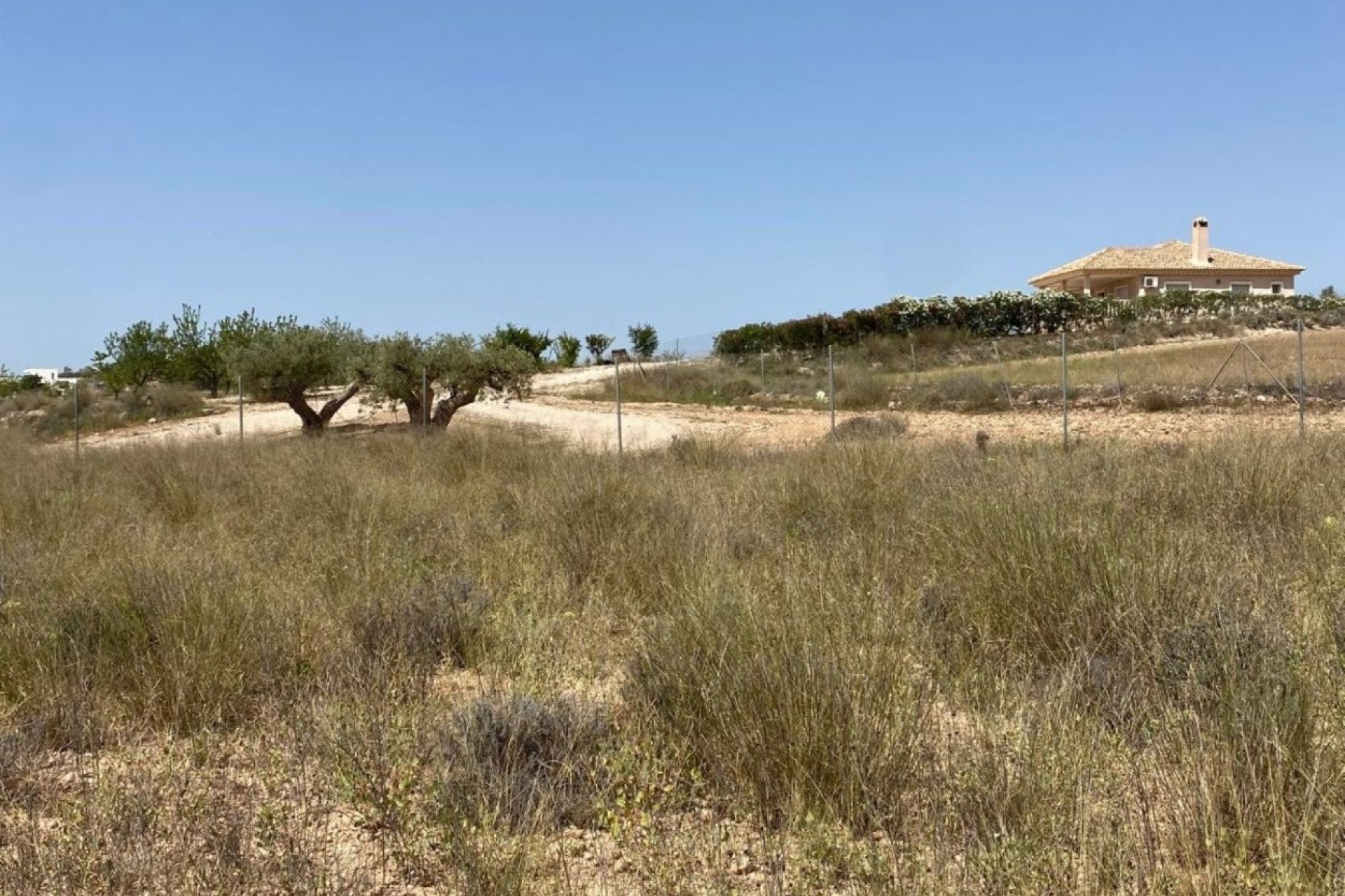 Nouvelle construction - Villa - Pinoso - Camino Del Prado