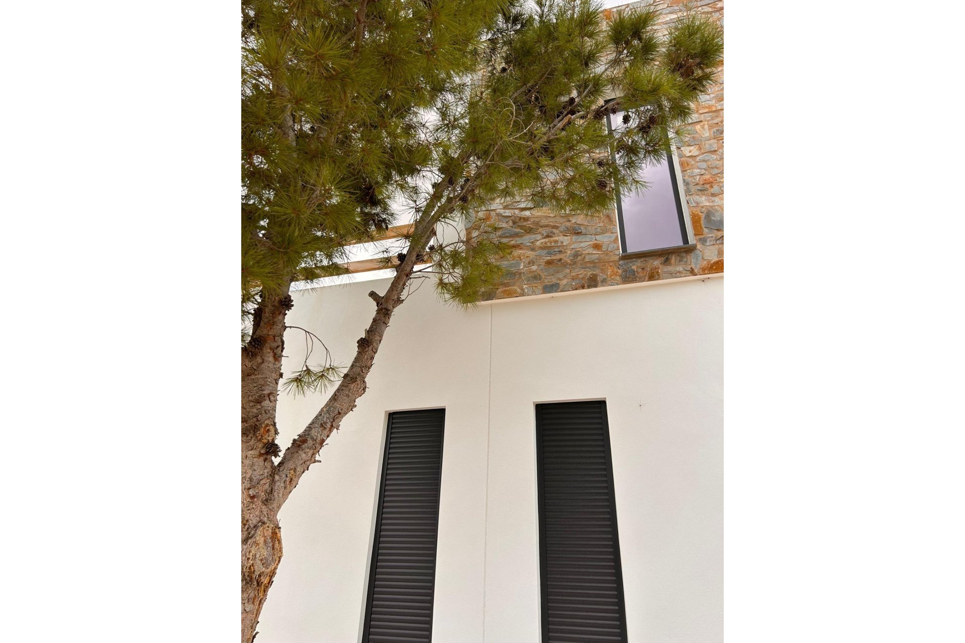 Nouvelle construction - Villa - Pinoso - Casas Pastor