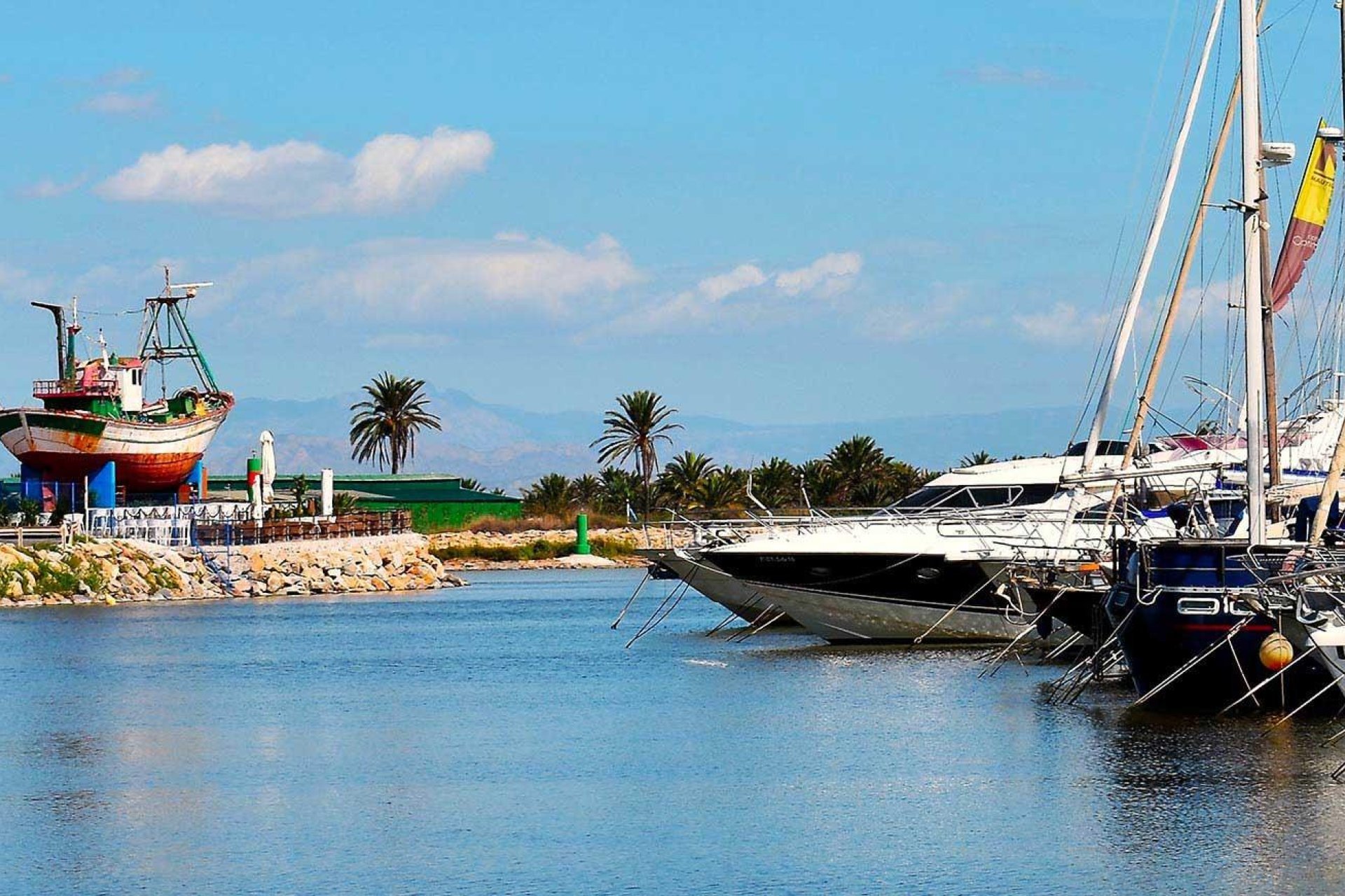 Obra nueva - Apartamento / piso - Guardamar del Segura - Avda del Puerto