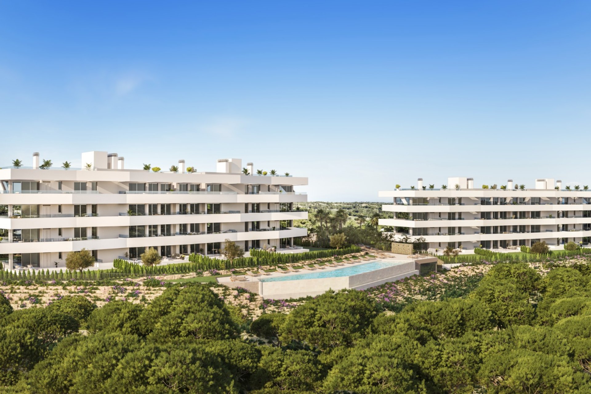 Obra nueva - Apartamento / piso - San Miguel de Salinas
