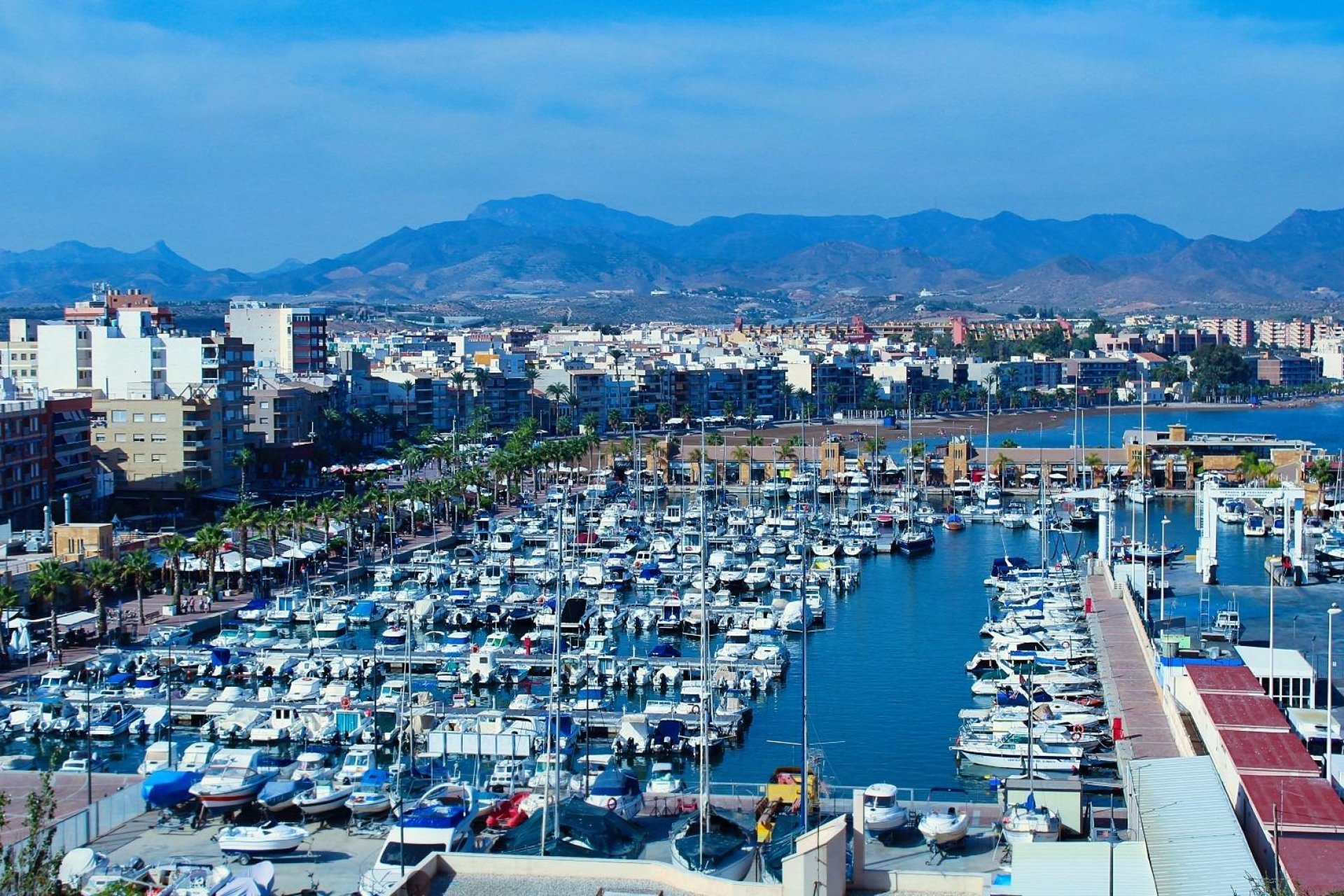 Obra nueva - Bungalow - Fuente Álamo - La Pinilla
