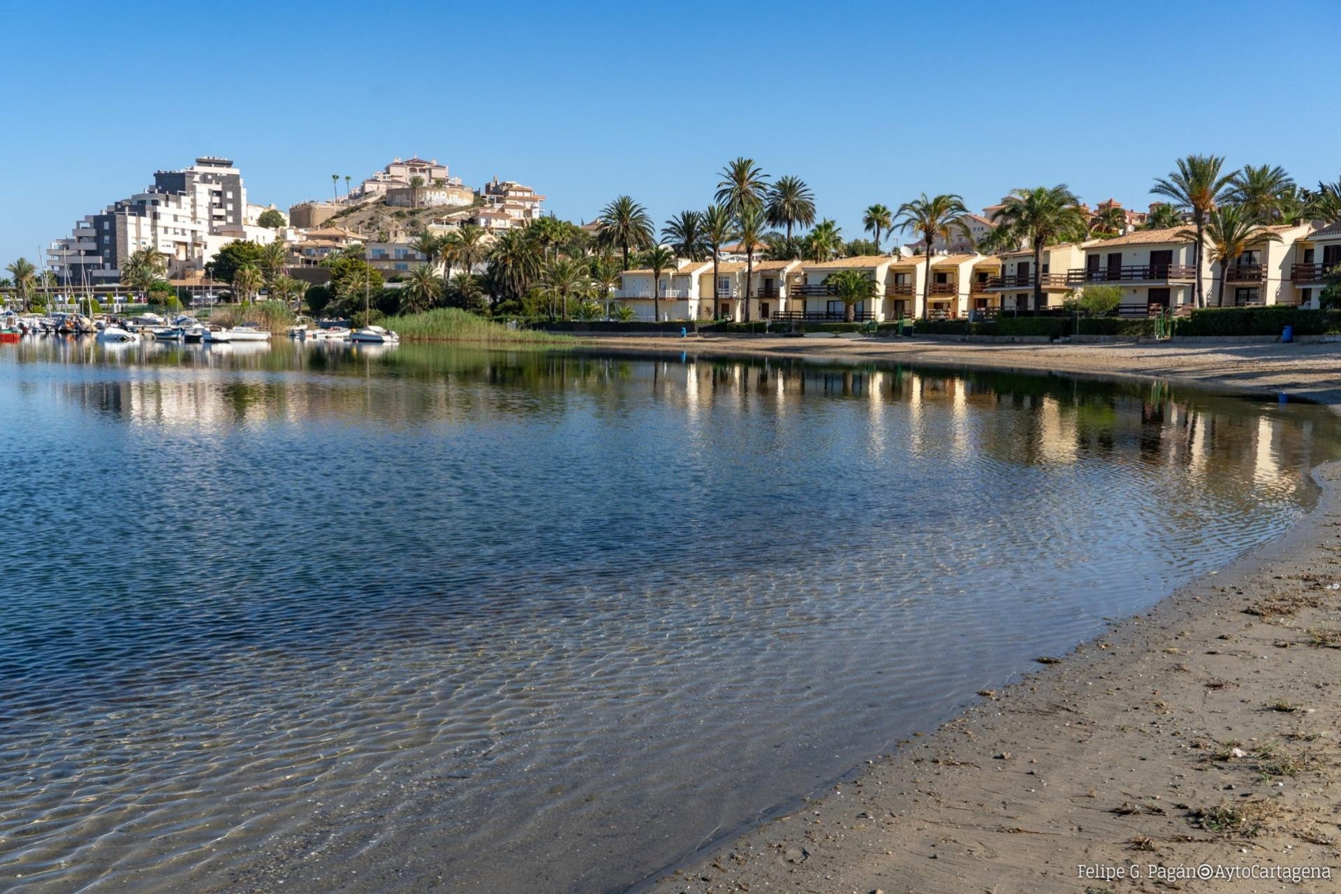 Obra nueva - Bungalow - La Manga Club