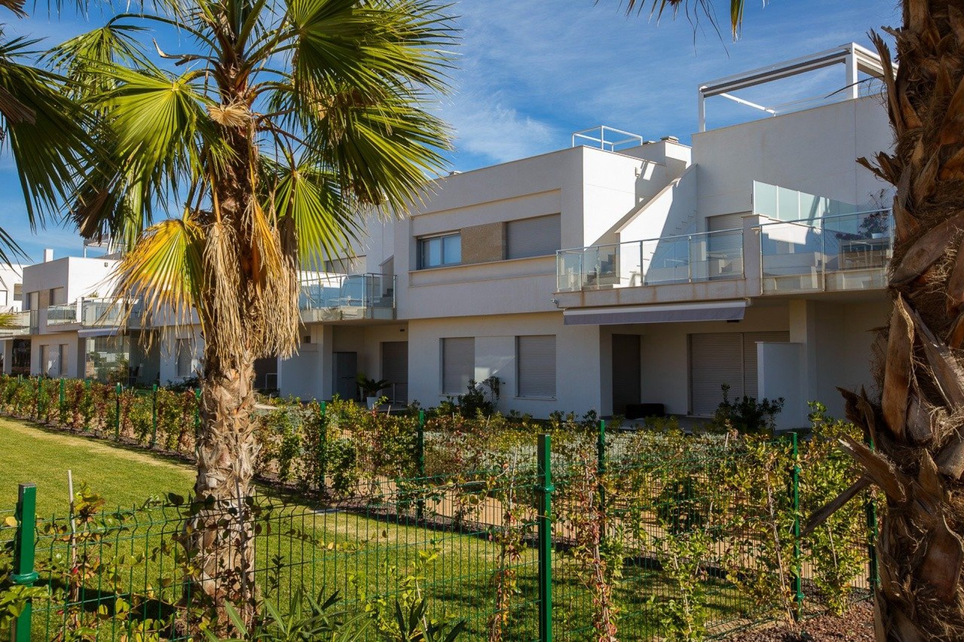Obra nueva - Bungalow - Orihuela Costa - Vistabella Golf