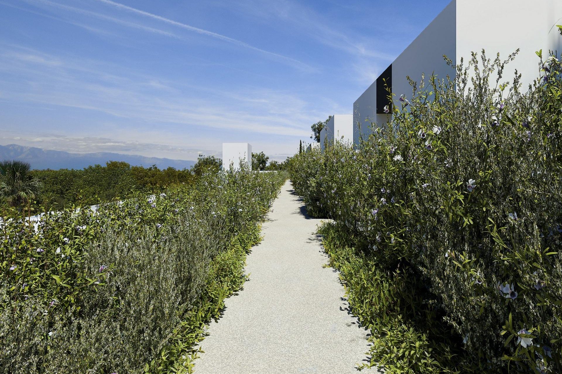 Obra nueva - Villa - Alfas del Pí - Barranc Fondo