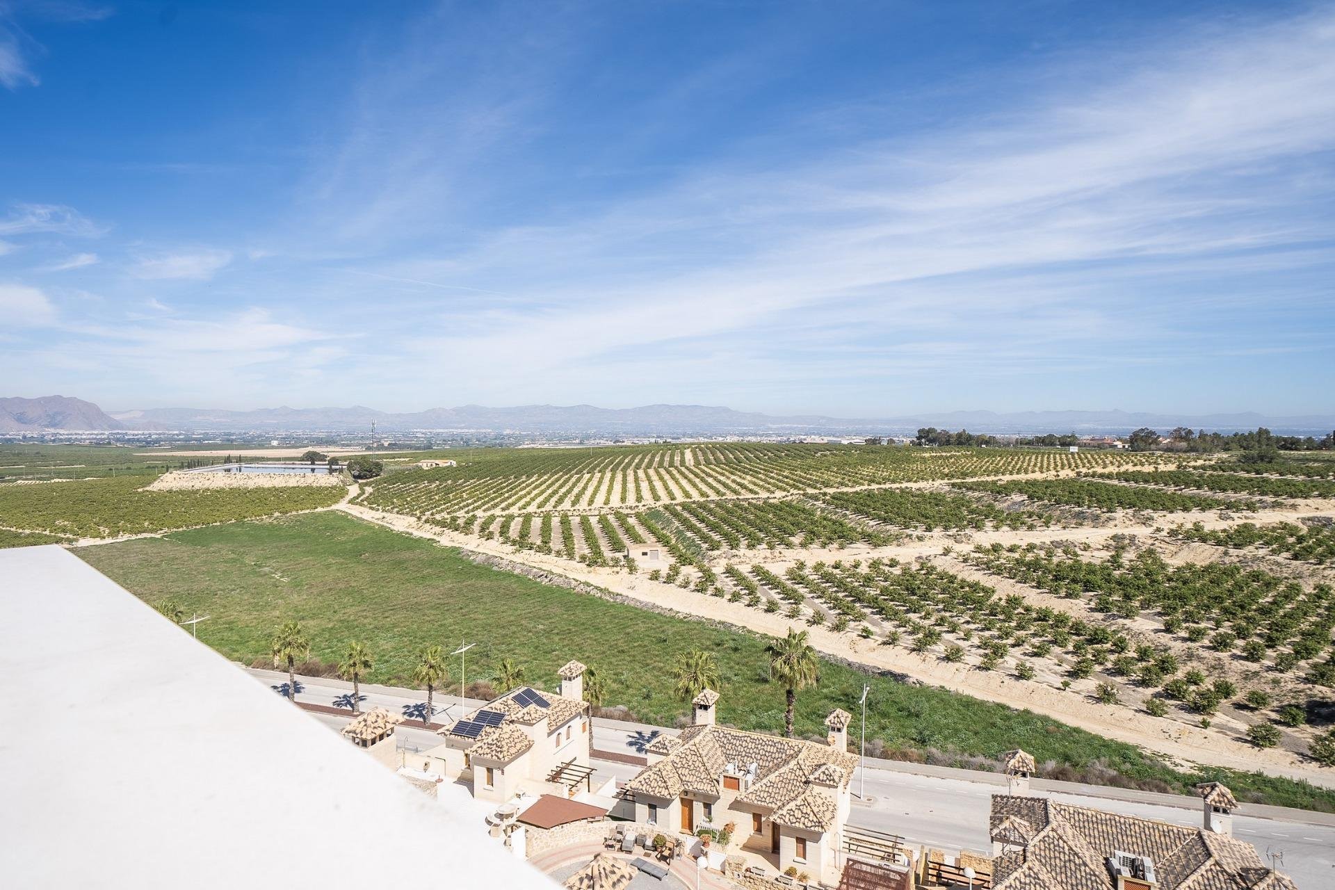 Obra nueva - Villa - Algorfa - La Finca Golf