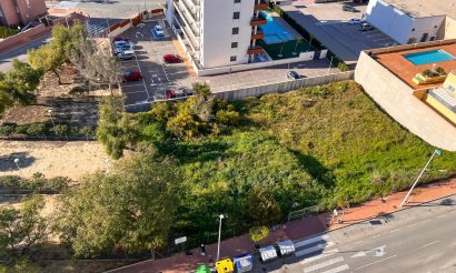 Parcela / Terreno - Reventa - Guardamar del Segura - Guardamar
