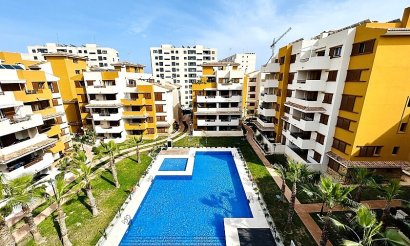 Penthouse - Resale - Punta Prima - Punta Prima