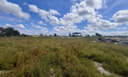 Plot / Land - Resale - Catral - Catral