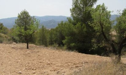 Plot / Land - Resale - Murcia - Murcia