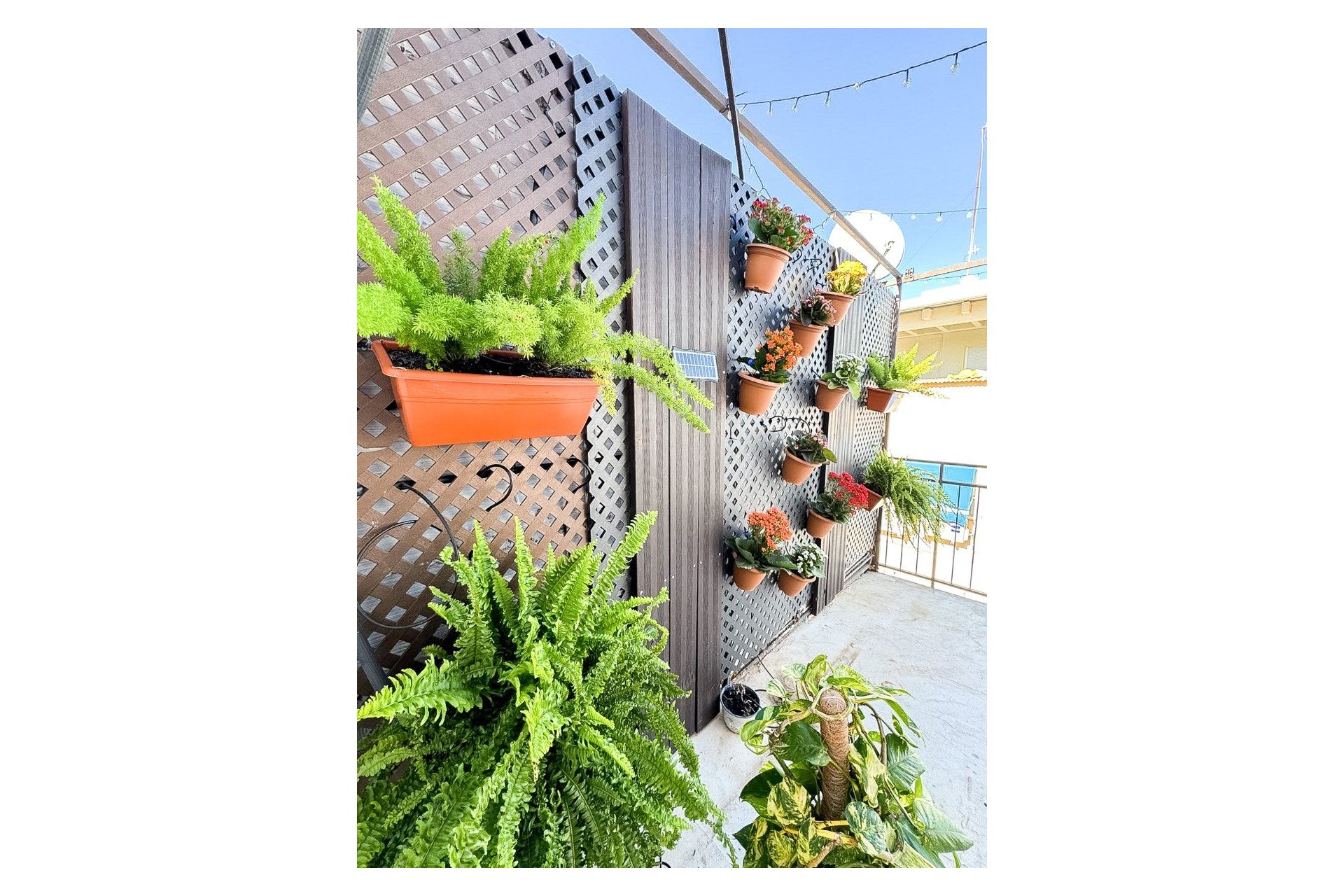 Resale - Apartment / flat - Benidorm - Levante