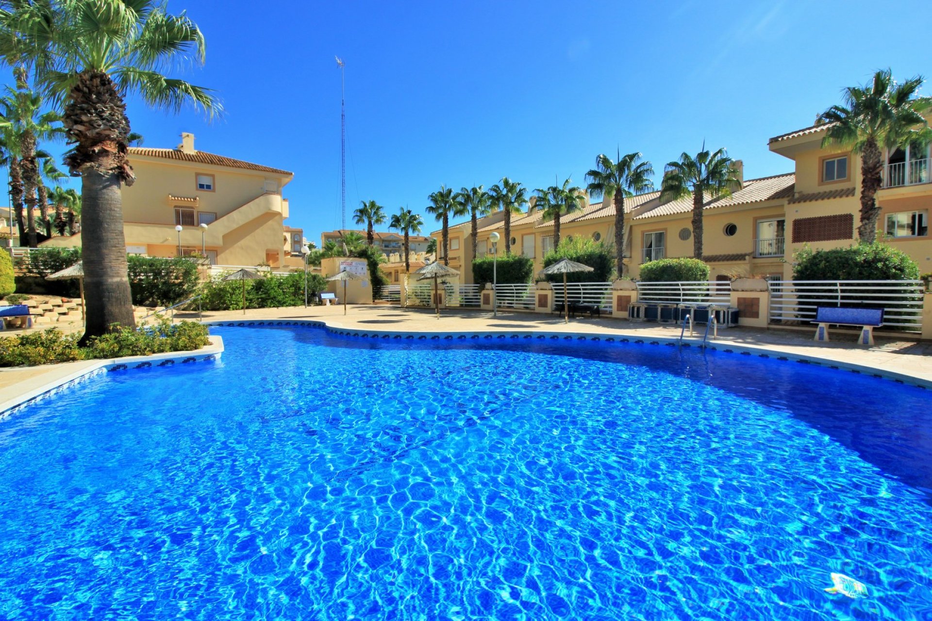 Resale - Apartment / flat - Cabo Roig